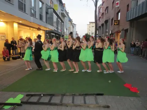 Foto vom Auftritt CA 2013