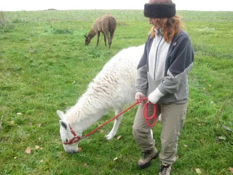 Foto vom Lamatrekking