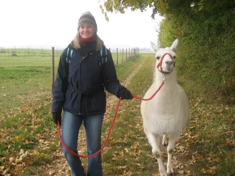 Foto vom Lamatrekking