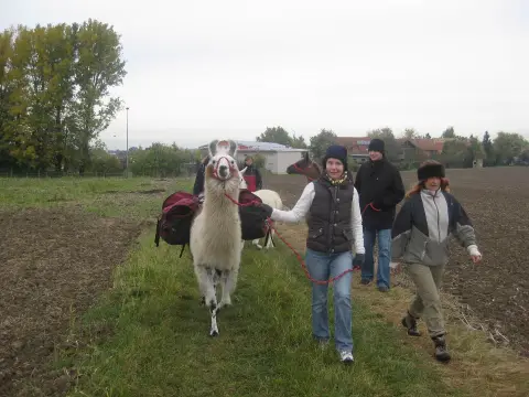 Foto vom Lamatrekking