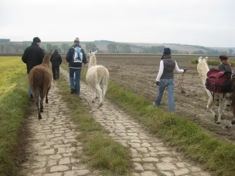 Foto vom Lamatrekking