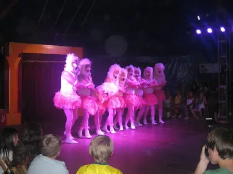 Foto vom Zirkusprojekt 2012