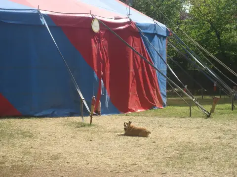 Foto vom Zirkusprojekt 2012